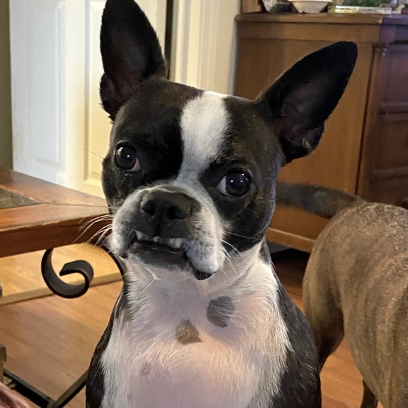 Bundle and Save! 15% off 3 or more items!⚡️☃️ - Picture 1 of 4